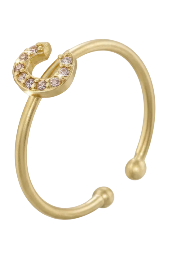 Letter Initial Micro Zirconia Gold Adjustable Ring